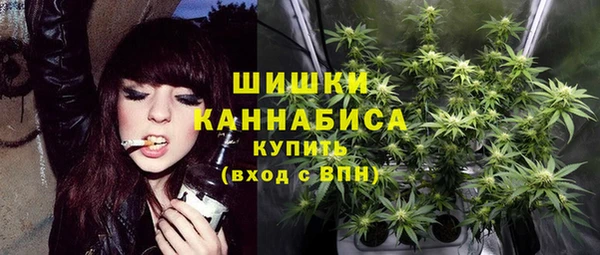 крисы Волоколамск