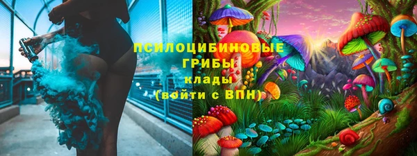 ПСИЛОЦИБИНОВЫЕ ГРИБЫ Верхнеуральск