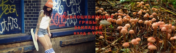 мдма Володарск