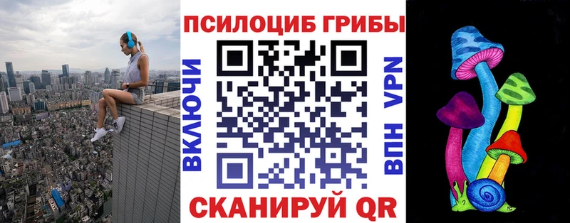 наркошоп Надым Псилоцибиновые грибы Psilocybine cubensis